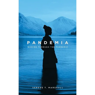 Pandemia: Wading Through The Pandemic - Hardcover