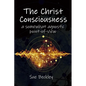 The Christ Consciousness: A Somewhat Agnostic Point-of-View - Paperback