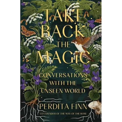 Take Back the Magic: Conversations with the Unseen World - Paperback