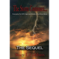 The Storm Continues... The Sequel: Protected by The Son's Light Amid Rounds of Post-Divorce Storms - Paperback