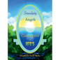 Serendipity Angels Coincidence & Ufo's - Hardcover