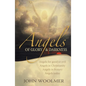 Angels of Glory and Darkness - Paperback