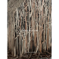 Doris Salcedo - Hardcover