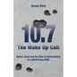 The Wake Up Call: Global Jihad and the Rise of Antisemitism in a World Gone MAD - Paperback