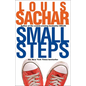 Small Steps - Hardcover