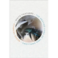 White Feathers: The Nesting Lives of Tree Swallows - Hardcover