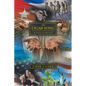 The Cigar Song: A Story of Passion - Paperback