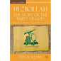 Hezbollah: The Story of the Party of God: From Revolution to Institutionalization - Paperback