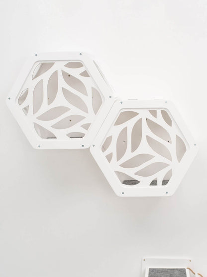 Wooden and Acrylic Frame for Hexagon
