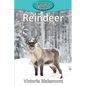 Reindeer - Paperback