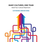 Many Cultures, One Team: Build Your Cultural Repertoire - Paperback