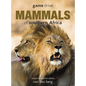Game Drive: Mammals of Southern Africa - Paperback
