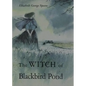 The Witch of Blackbird Pond: A Newbery Award Winner - Hardcover