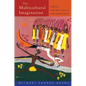 The Multicultural Imagination: "Race", Color, and the Unconscious - Paperback