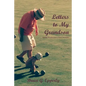Letters to My Grandson: Gaining Wisdom from a Fresh Perspectives - Paperback