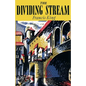 The Dividing Stream - Paperback