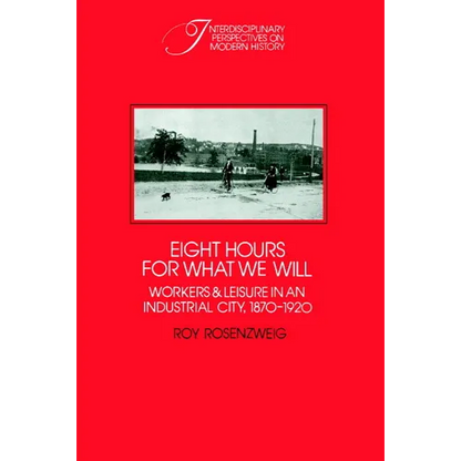 Eight Hours for What We Will: Workers and Leisure in an Industrial City, 1870 1920 - Paperback