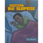 Alexander's Big Surprise - Paperback