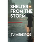 Shelter From The Storm: A Terry Eckhart Detective Novel - Paperback