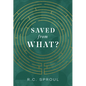 Saved from What? - Paperback