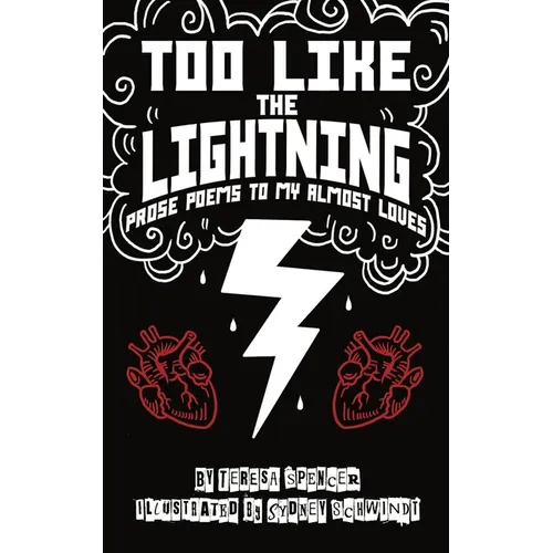 Too Like the Lightning: Prose Poems to My Almost Loves - Paperback