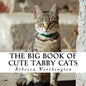 The Big Book of Cute Tabby Cats: A text-free book for Seniors and Alzheimer's patients - Paperback