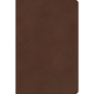 CSB Rainbow Study Bible, Brown Leathertouch - Imitation Leather
