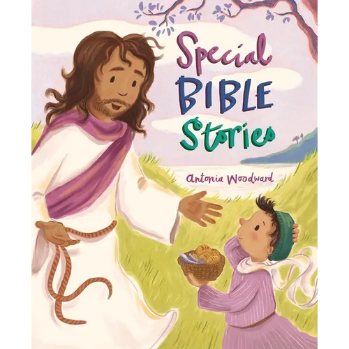 Special Bible Stories - Hardcover