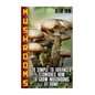 Mushrooms: 20 Simple to Advanced Techniques How To Grow Mushrooms At Home - Paperback