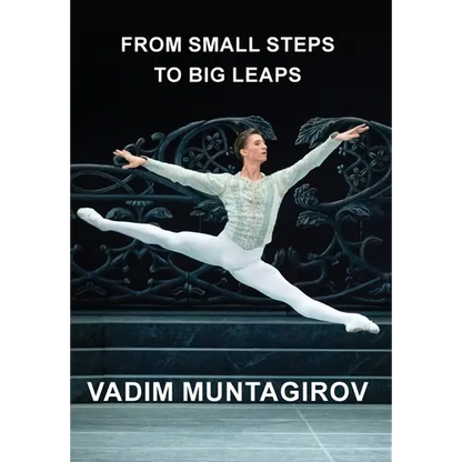 From Small Steps to Big Leaps - Hardcover