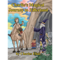 Charlie's Magical Journey to Zifferland - Hardcover
