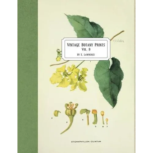 Vintage Botany Prints: Vol. 9 - Paperback