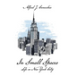 In Small Spaces: Life in New York City - Hardcover
