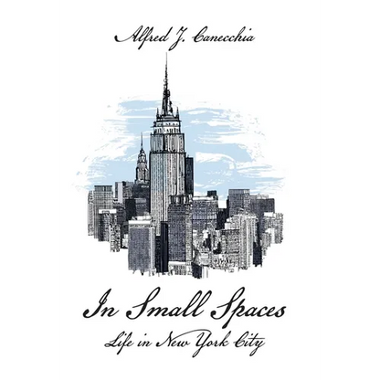 In Small Spaces: Life in New York City - Hardcover