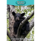 Black Bears - Paperback