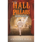 The Hall of Pillars - Paperback