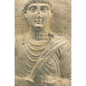 A Guide to the Classical Collections of Cornell University - Paperback