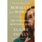 Miracles and Wonder: The Historical Mystery of Jesus - Paperback