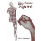 The Human Figure - Paperback