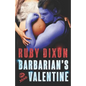 Barbarian's Valentine: A Slice of Life Novella - Paperback