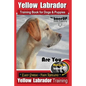 Yellow Labrador Training Book for Dogs and Puppies by BoneUp Dog Training: Are You Ready to Bone Up? Easy Steps * Fast Results Yellow Labrador Trainin - Paperback