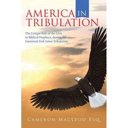 America in Tribulation: The Unique Role of the Usa in Biblical Prophecy, During the Imminent End-Times Tribulation - Paperback