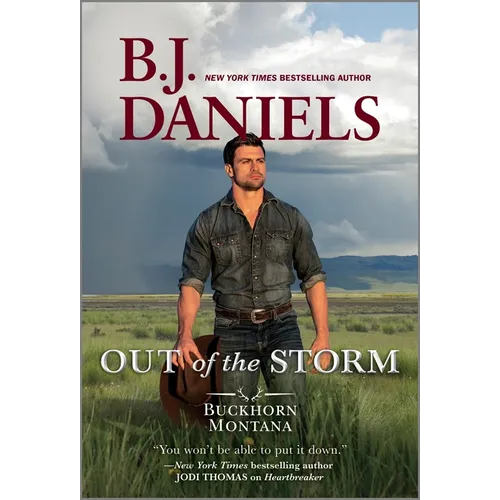 Out of the Storm - Paperback