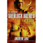 Fire Storm - Paperback
