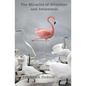 The Miracles of Attention and Awareness - Paperback