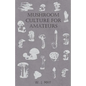 Mushroom Culture for Amateurs: With Full Descriptions for Successful Growth in Houses, Sheds, Cellars, and Pots, on Shelves, and Out of Doors - Paperback