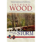 Peace Before the Second Storm: A Story of the Civil War - Paperback