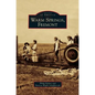Warm Springs, Fremont - Hardcover