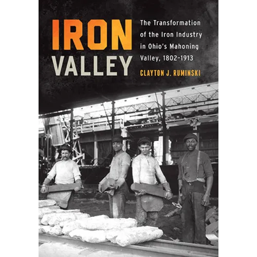 Iron Valley: The Transformation of the Iron Industry in Ohio's Mahoning Valley, 1802-1913 - Paperback