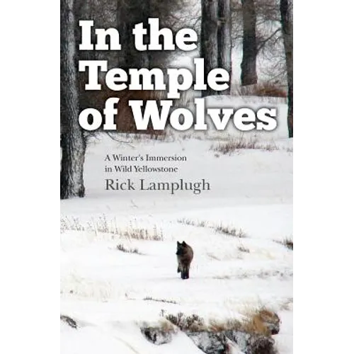 In the Temple of Wolves: A Winter's Immersion in Wild Yellowstone - Paperback
